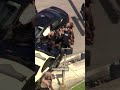 Florida hospital patient sparks police chase after allegedly carjacking a woman