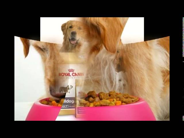 nero gold корм для собак