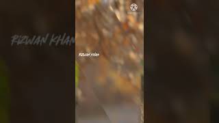 Download Lagu Tum bhi tanha the hum bhi tanha the full screen status #gfbf #love #fullscreenstatus MP3