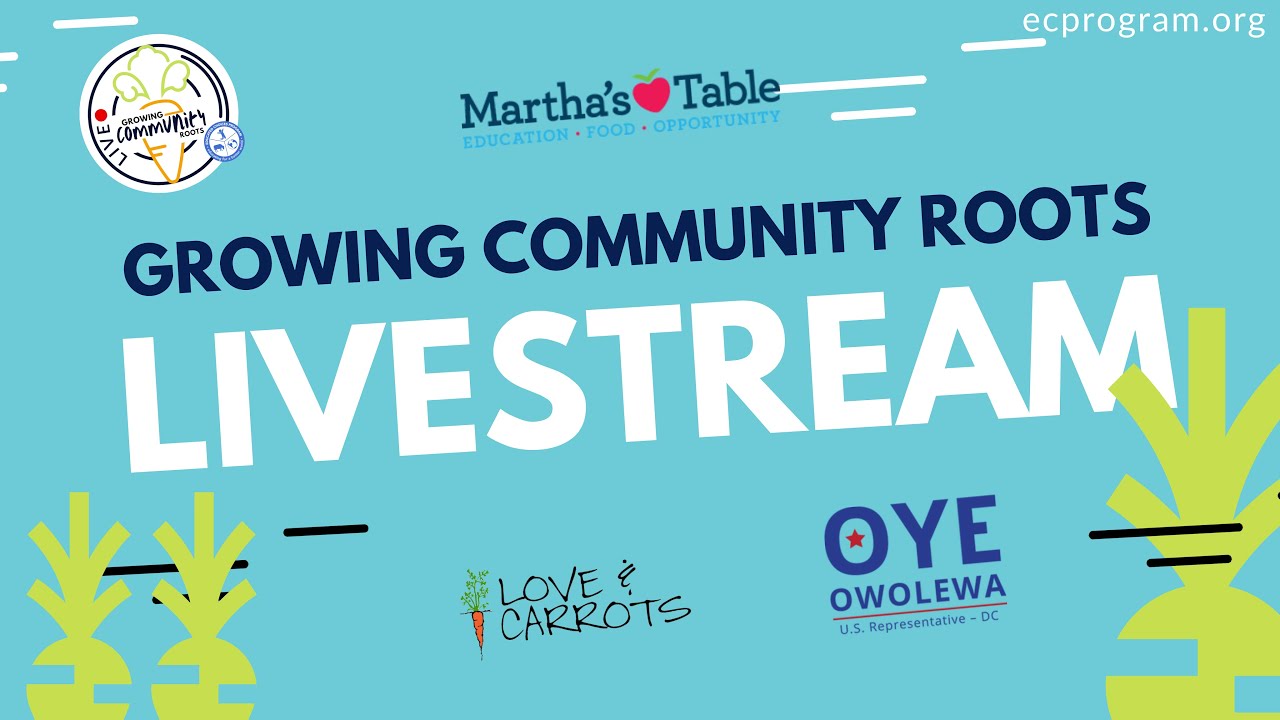 Growing Community Roots Livestream StreamECP YouTube growing-community-roots-livestream-streamecp-youtube