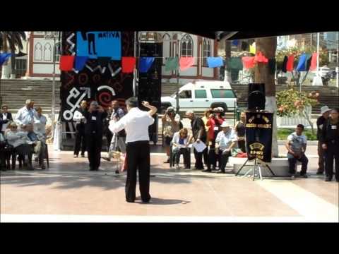 VI Festival Internacional