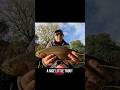 Caught this well conditioned trout while filming myself fishing - nice trout #film #fishing #trout