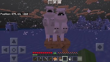 Minecraft Polar Bears DANCING
