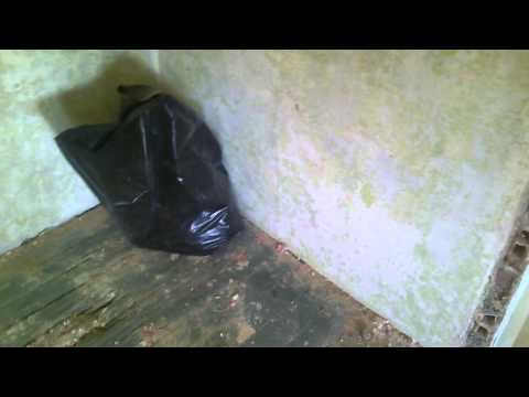 Video: Tepelná Izolácia Drevenej Podlahy Vo Vidieckom Dome