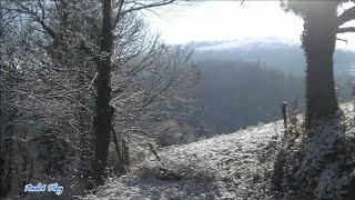 Beauté du givre et de la neige  chemin du Vallon 20 janvier 2024 Le Chambon-Feugerolles