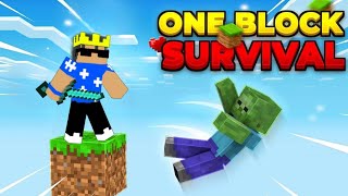 MINECRAFT ONE BlOCK SURVIVAL FIRST DAY