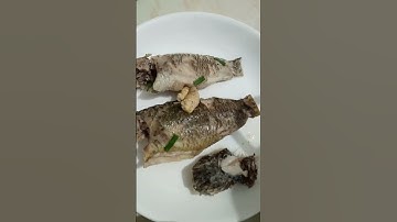 Canh Bầu Nhà Trồng Nấu Với Cá Rô Đồng Và Cá Lóc Đồng Kho Tiu , Món Ăn Quê Nhưng Ấm Lòng Lữ Khách