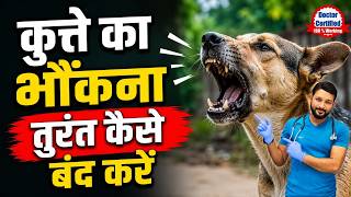 How to calm your dog if it is barking? | Dog Facts | कुत्ते का भौंकना तुरंत कैसे बंद करें | In Hindi
