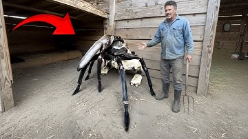 10 Hybrid Animals That Actually Exist!