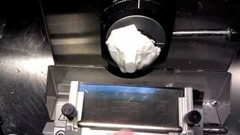 Cryostat: -28 °C sectioning