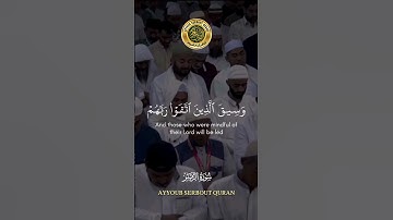 سورة الزمر الآية 72-74 تلاوة الشيخ أحمد الطالب #اكسبلور