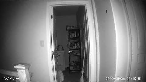 Wyze cam caught a weird noise