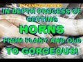 Off Topic- In depth explanation of how to make cattle horns gorgeous