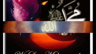 Bacılar — Ramazan Yolal kapak görseli