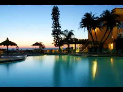 Dolphin Beach Resort St Pete Fl You Dolphin Beach Resort St Pete