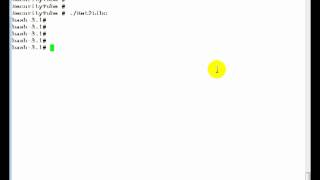 Buffer-Overflow-Primer-Part-8-(Return-to-Libc-Demo)