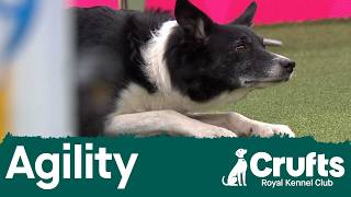 Championship – Intermediate/Large - (Jumping) Final Part 2 | Crufts 2026