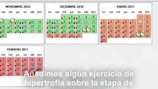 Generate important reports for your Taekwondo training screenshot 5