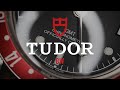 Finding Happiness in this Hobby - Tudor BB GMT