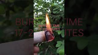ECO FRIENDLY FIRELIGHTER#bushcraft #fire #camping #survifal