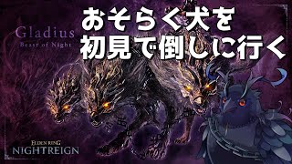 【#NIGHTREIGN 】常夜グラディウスを倒しに行きます【Vtuber/死神カル】