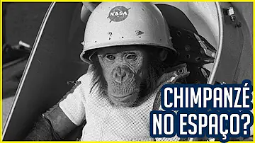 Para que serve o espaço primata?