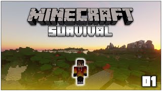 Minecraft Survival Lets Play: My First World #1