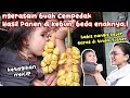 Hasil panen cempedak di kebun enaknya ga kaleng2 yumi chan di tindik suster