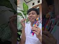 Sikat Gigi Dr Baek