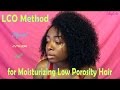 How to Moisturize Natural Hair: LCO Method for Low Porosity Hair