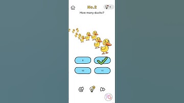 How many ducks | Brain Out | Level 02