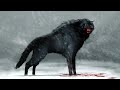 This Extinct Wolf Would TEAR APART Anything In Its Sights 