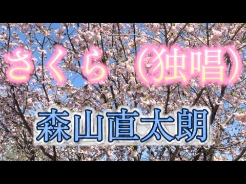 🎶さくら（独唱）/森山直太朗　歌詞字幕入り