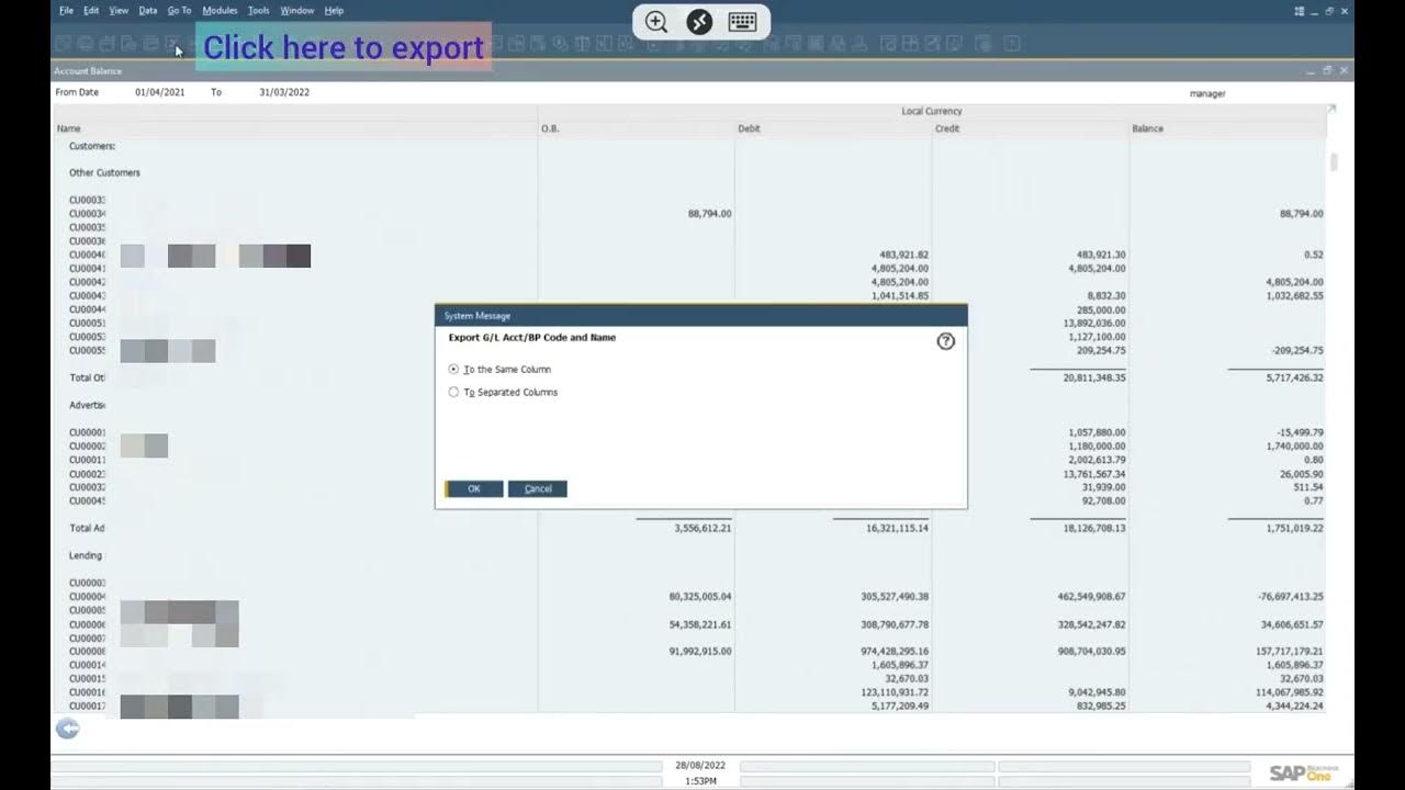 How to view and download business partners vendors customers trial