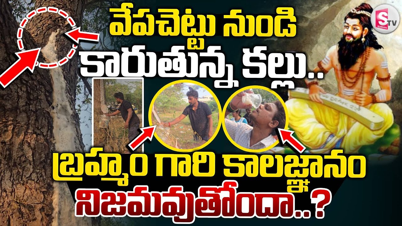 కాకినాడలో వింత ఘటన! | వేప చెట్టుకు కల్లు | Toddy Water From Neem Tree | Brahmam Gari kalagnanam