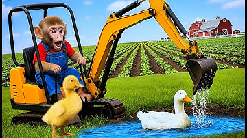 Monkey Farmer And Duckling Uses Excavator To Dig New Pond For Ducks - Monkey Farm Work | CoCo Farm