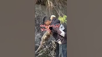 اتحداك تعرف أسم القارئ 🤔🤔