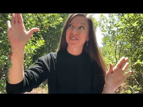 The Illuminated Path - Relax Into Your Power