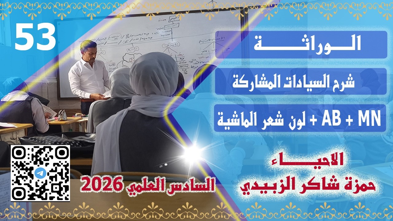 شرح السيادةالمشاركة _ AB + MN + لون شعر الماشية