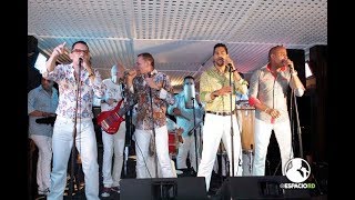 Los Rosario la cleptomana merengue (Audio en vivo)