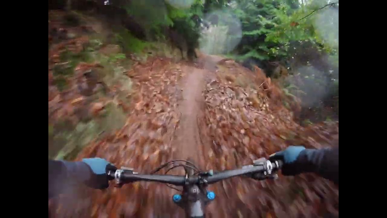 Forest of Dean MTB ￼