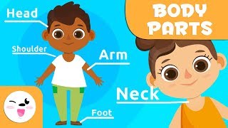 Parts of the head - The Human Body for kids - Vocabulary