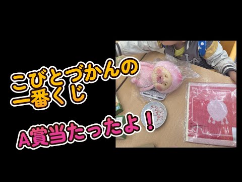 こびとづかん】一番くじを引いたらカクレモモジリのぬいぐるみが当たっ