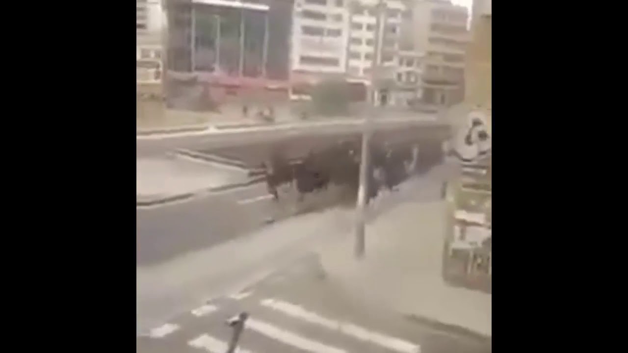 Total War Cavalry Charge Riot - YouTube