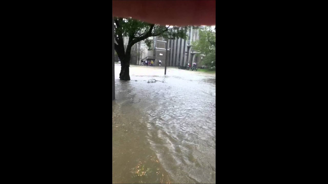 cold brew coffee Hurricane Irene at SUNY Cobleskill