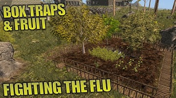 BOX TRAPS & FRUIT | Starvation Mod 7 Days to Die | Let