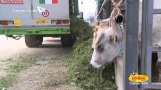 BONINO - Prove in campo