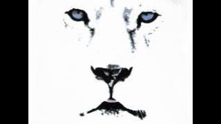 White Lion - Tell Me