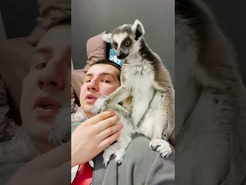 Как брать в