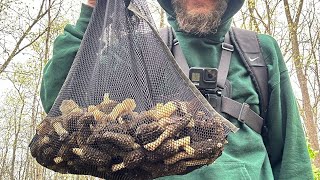 HOW TO FIND BLACK MOREL MUSHROOMS: DO THIS !!!